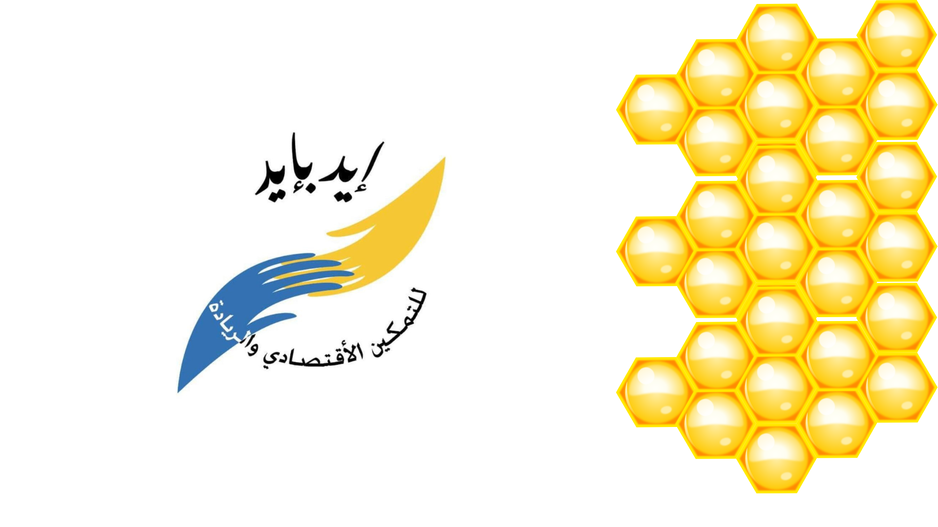 Supporting Home Enterprises:Jerash’s Beekeeping Eco-Tourism Initiative